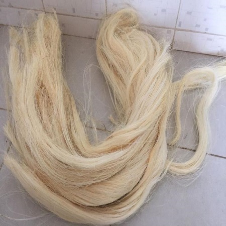 U18aa7c023f3b445e973fb07798370f9fD-2.jpg Sisal Fiber Short Fiber Tow 1 - Image 1