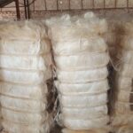Sisal Fiber