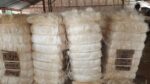 Sisal Fiber
